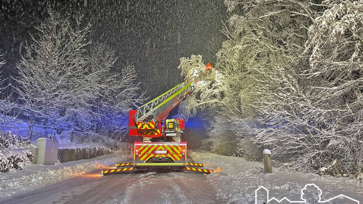 01.12.2023 – Baum auf Fahrbahn