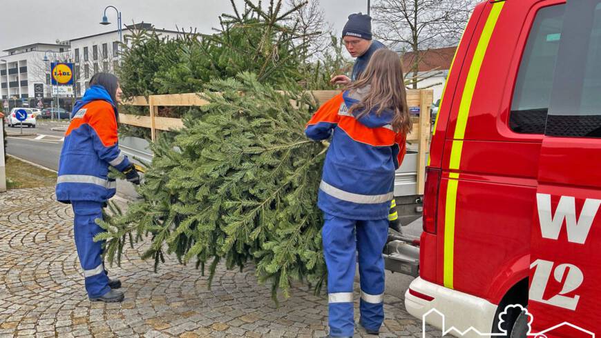 Erfolgreiche Christbaumsammelaktion