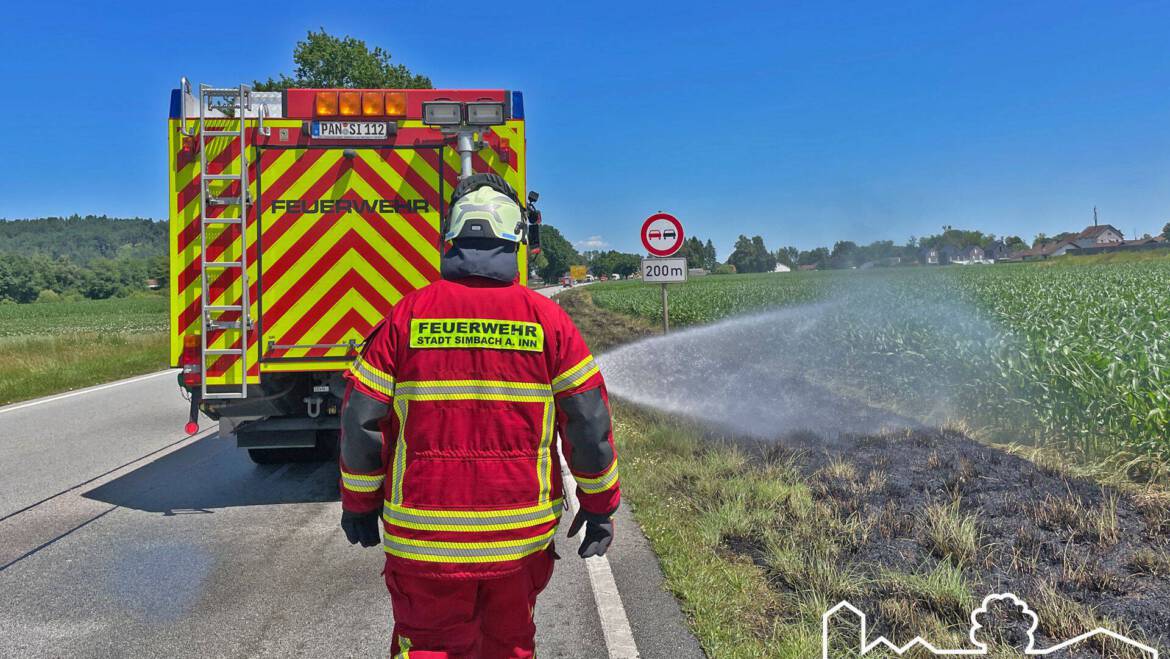 20.06.2025 – Brand einer Freifläche