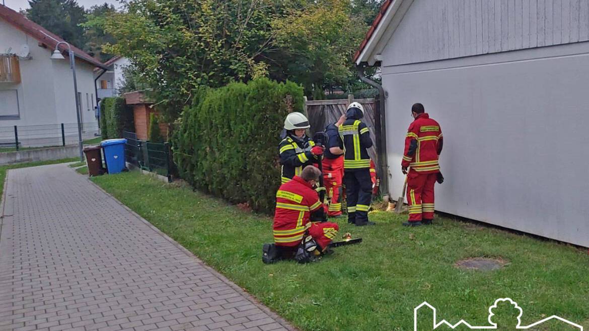 23.09.2025 – Kleintierrettung – Igel in Rohr