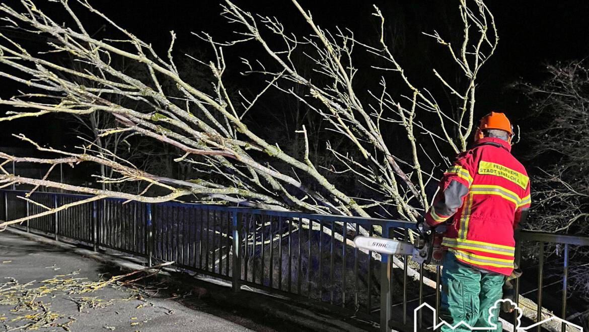 24.12.2025 – Baum auf Fahrbahn