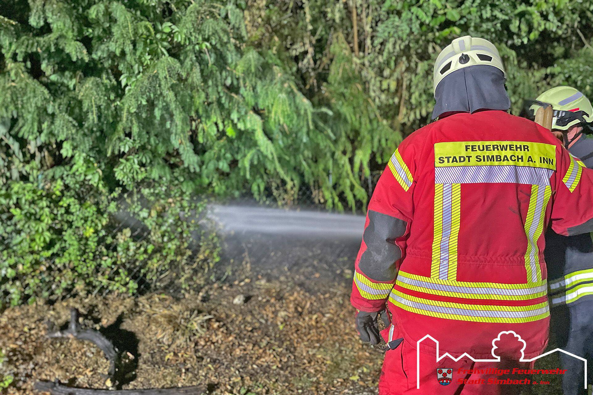 2026.08.04 Brand einer Freifläche (4)